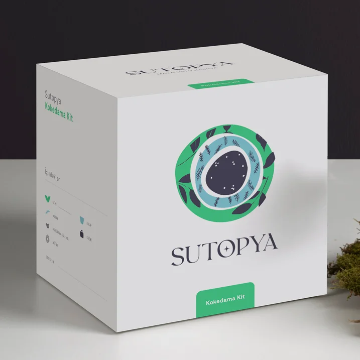 how to make moss Kokedama Kit with  Online Education kokedama plate gift for home garden lovers