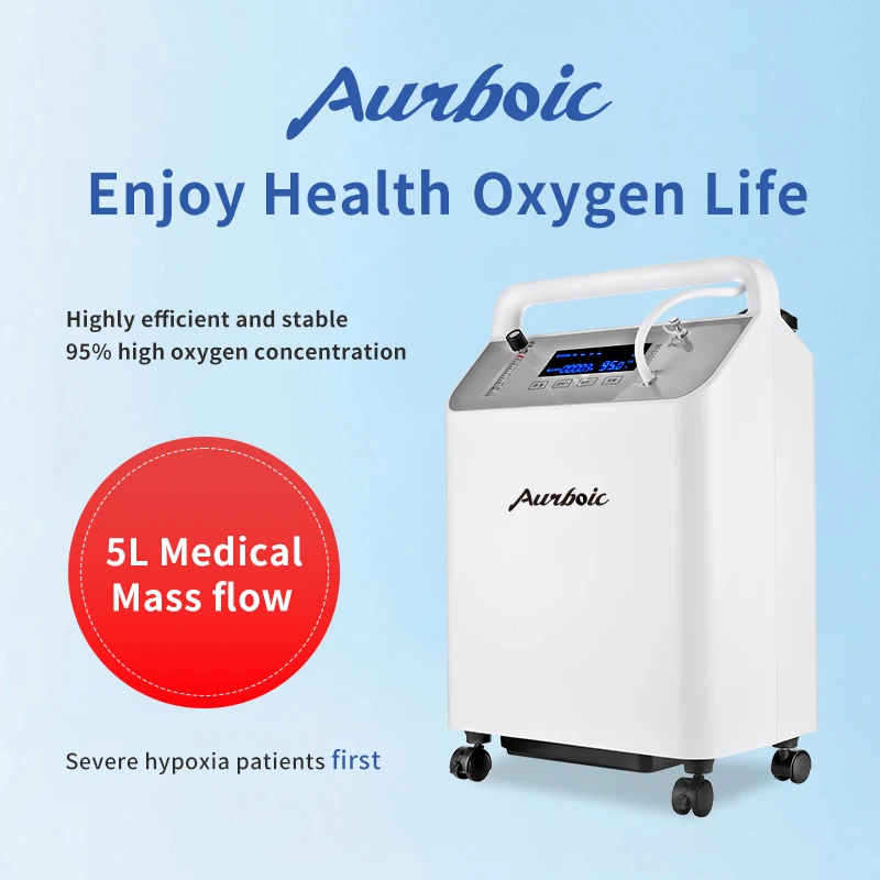 5L Medical Class II Oxygen Concentrator Machine 95% Purity 3 Year warranty Equipment for Physical Therapy