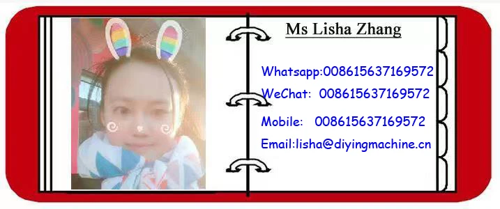 Lisha 2