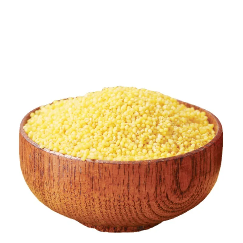 Высококачественный новый урожай, оптовая продажа семян Xiaomi Millet Hulled Glutinous Yellow Millet для продажи