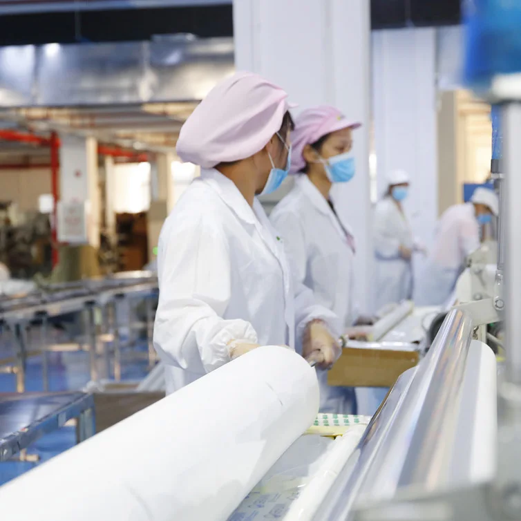 Medical High Quality Disposable Bed Cover Beauty Massage Disposable Bed Sheet SPA