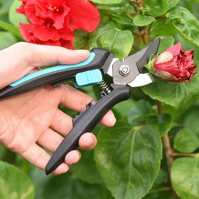 Household Gardening Shears Pruning Floral Branches Fruit Tree Shears
