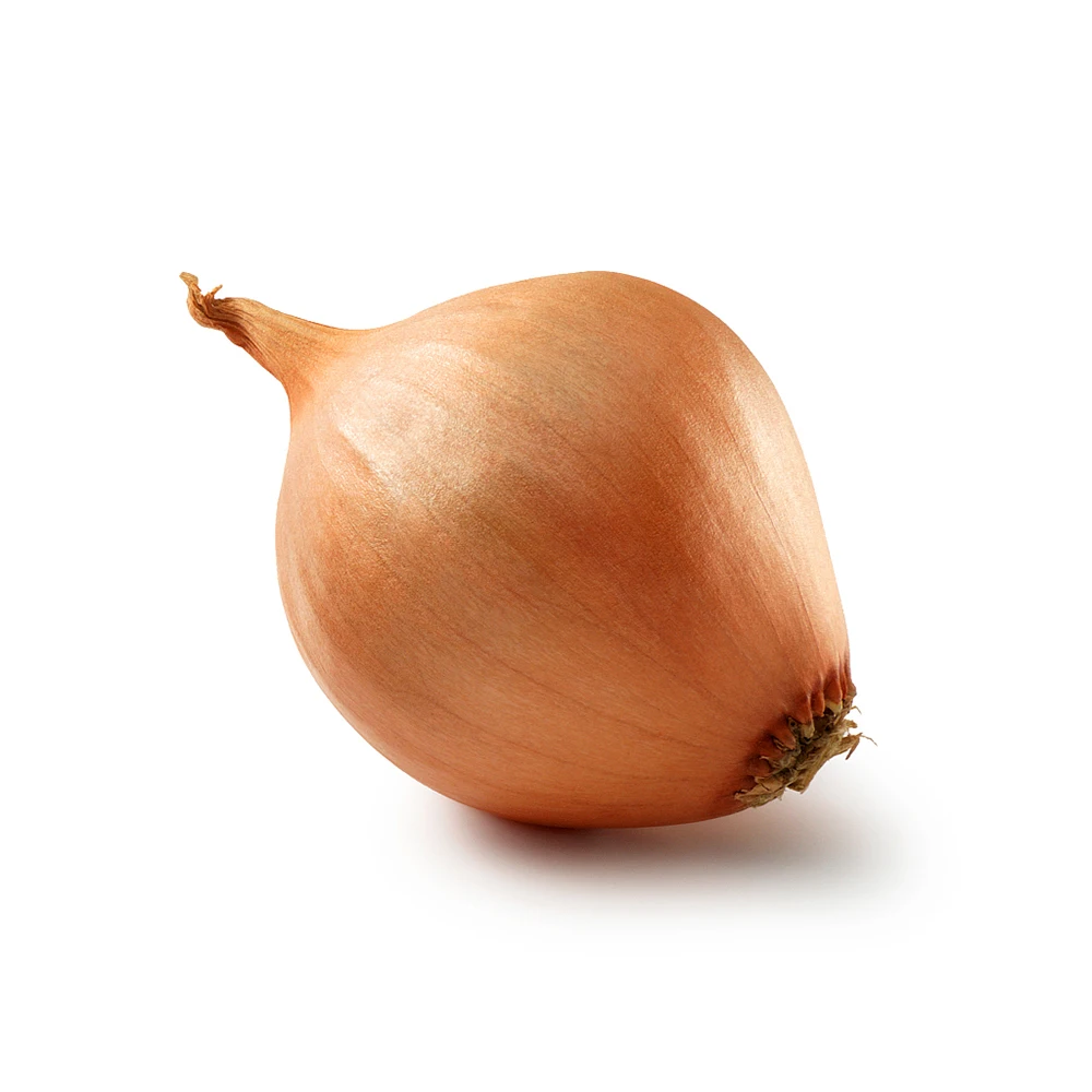 New crop Fresh Yellow Onion red onion export from china