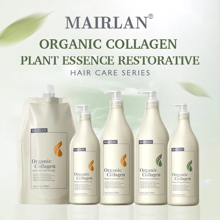 Shampoo Manufacturing Company Best Shampoo For Hair Fall Hair Salon Shampoo Brands