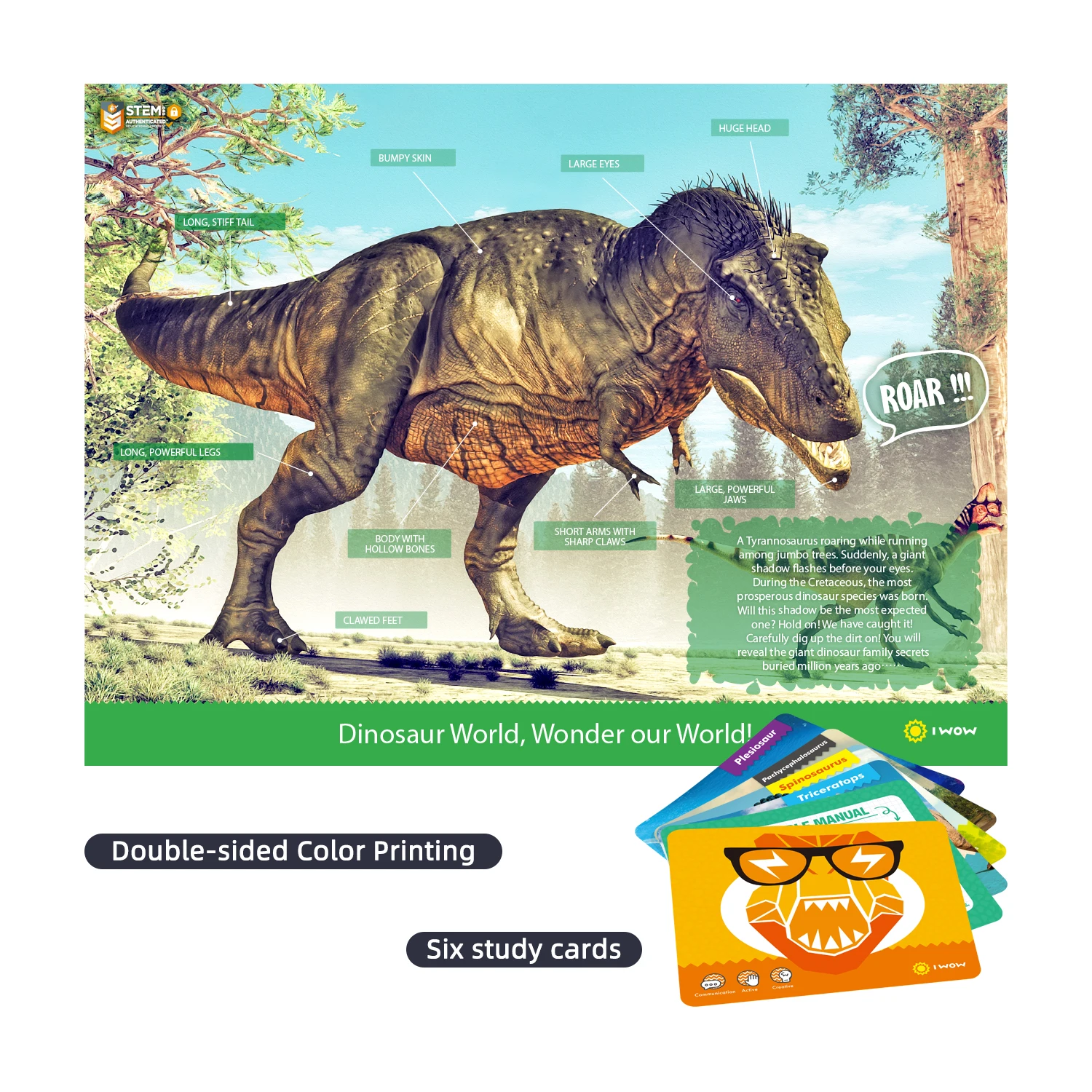 Pianopotato  dinosaur toy Tyrannosaurus digging toy educational toy for kid  dig kit for children