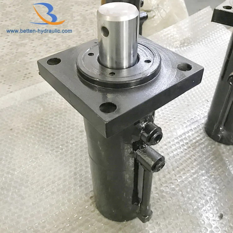 5 Ton Flange Hydraulic Cylinder for Hydraulic Engineering