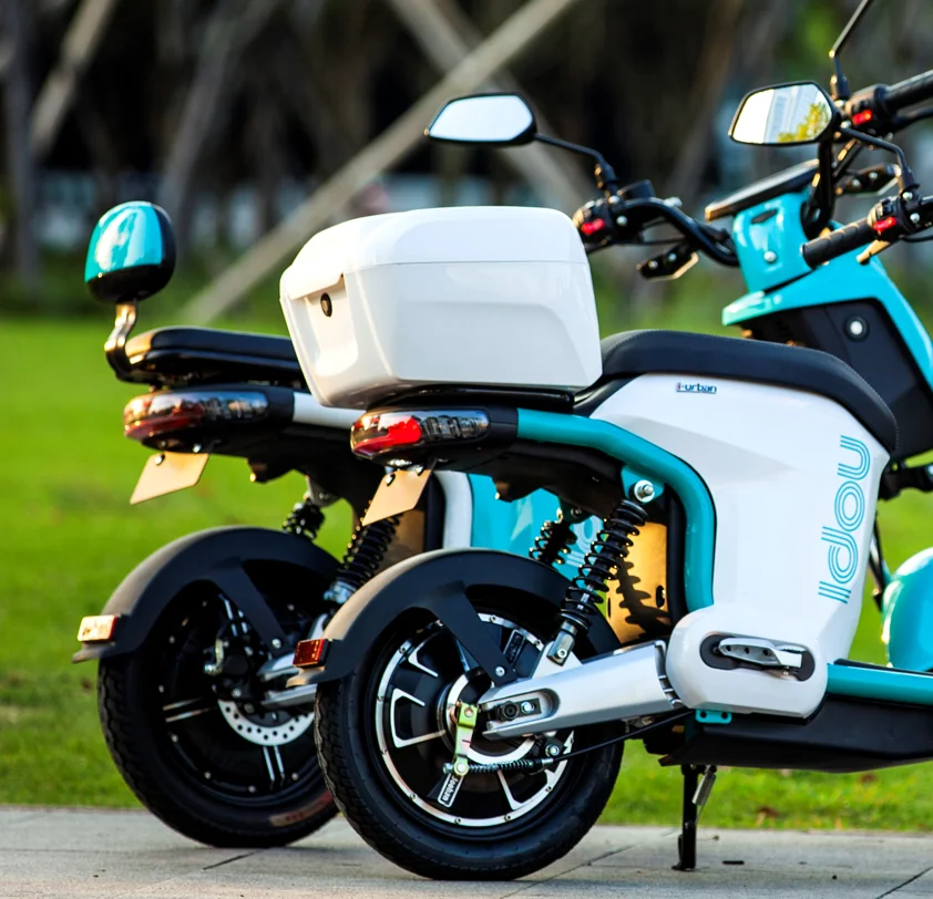 2024 EUR5 EEC/COC High Quality 800W 48v26Ah Electric Scooter Wth Seat For Adults