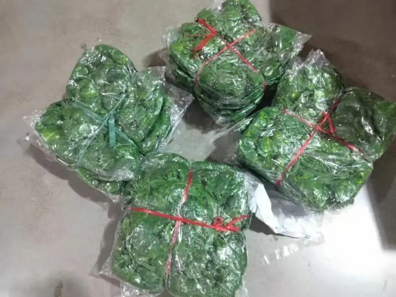 12 Pack Fake Grape Vines Faux Greenery Leaves Plants Artificial Ivy Leaf Plants Vine Hanging Garland for Decoration