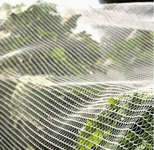100% Virgin HDPE Monofilament Anti-Insect/Hail Bird Netting Heavy Duty for Garden Vegetable Plant Crop Protection