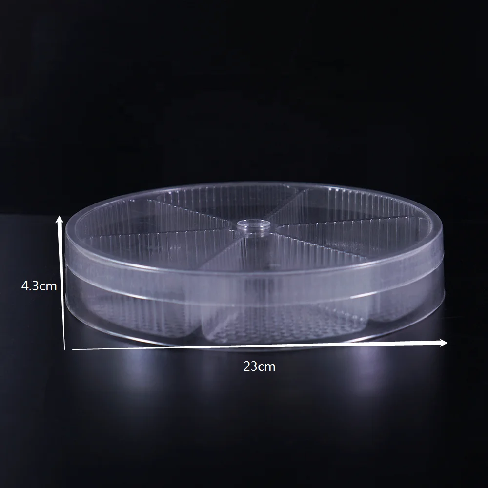 Customized Disposable Plastic 5 Compartment Food Packaging Blister Fruit Divided Serving Tray With Lid PET OEM Clear Accept