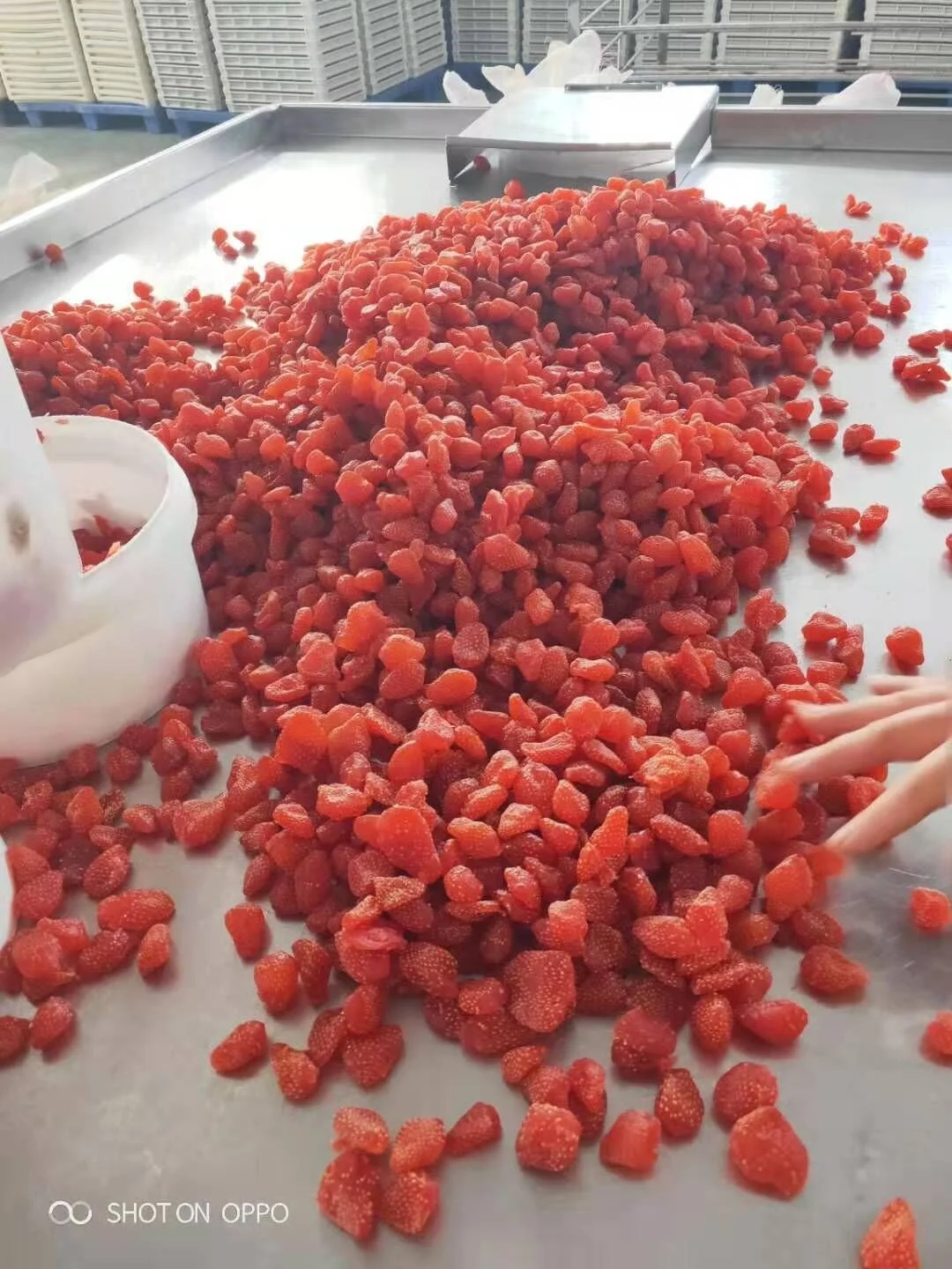 
dried strawberry dehydrate strawberry 