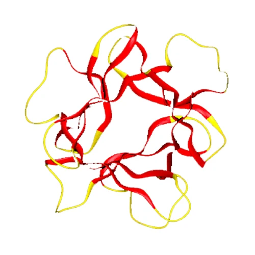 Hearan Active Peptide Specific Activity 1,500,000IU/mg FGF1 Raw Material Powder