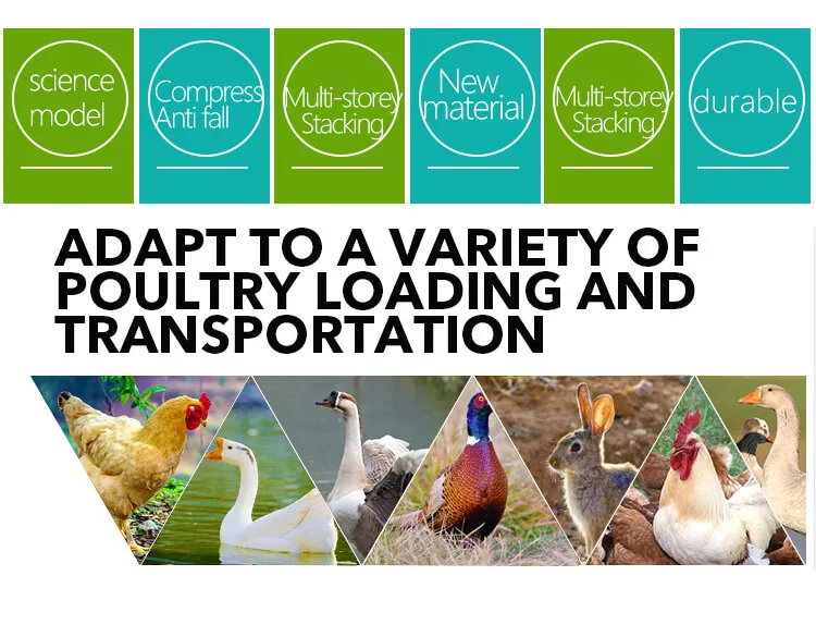 chicken transport (1)