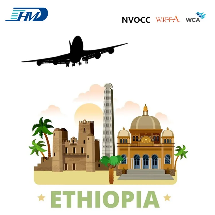 Профессиональное грузовое обслуживание грузовые авиаперевозки в Абебу Эфиопию из