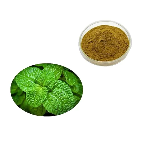 Latest Design Eco-Friendly Peppermint Extract Mint Leaves Powder Pepermint Leaf