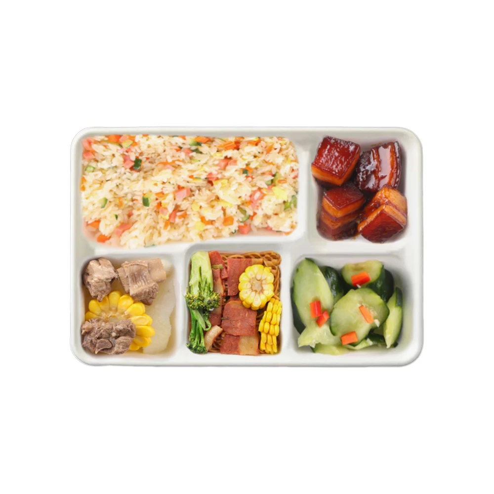 Sugarcane bagasse mold plates container 5 compartment rectangle tray