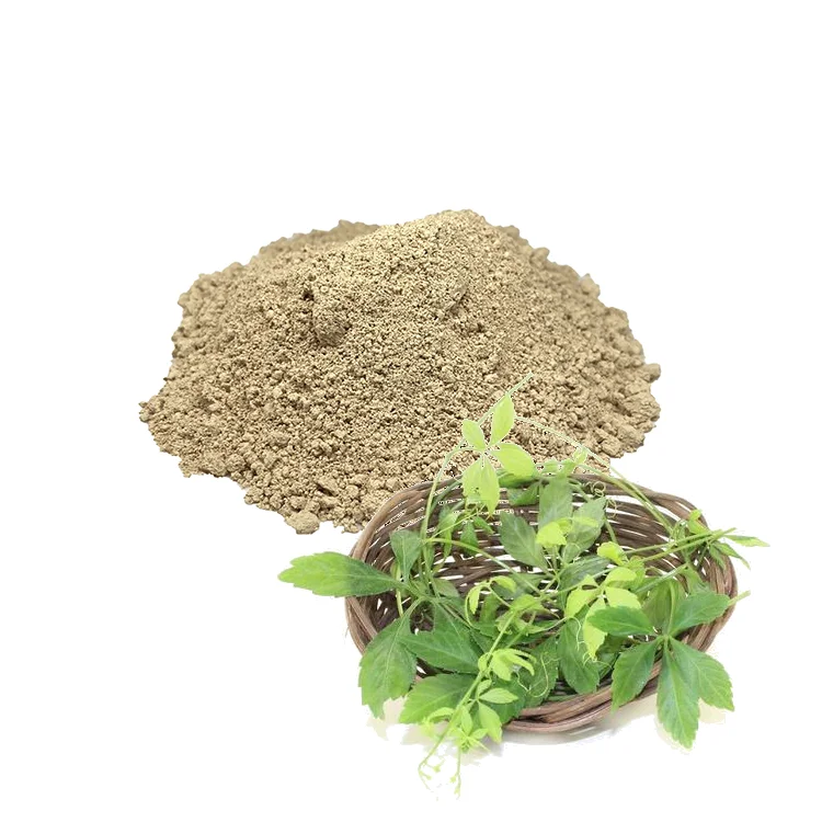 factory supply jiaogulan powder plant fiveleaf 98% gynostemma pentaphyllum extract