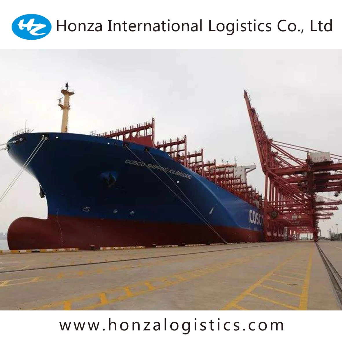 20GP 20foot FCL LCL whole container sea freight sea shipping from China to New Zealand fastest and cheapest