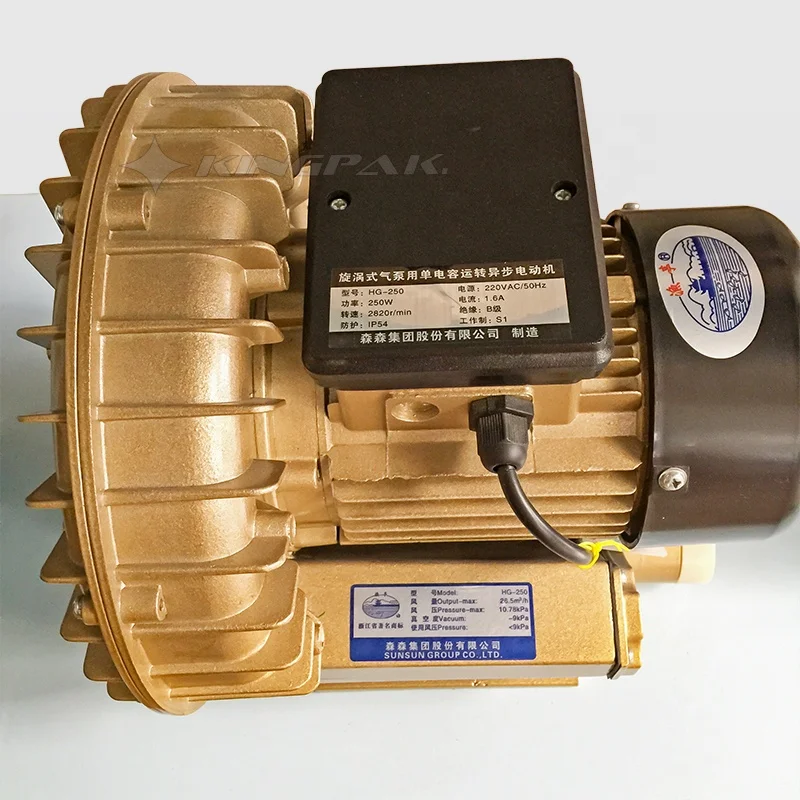 DBF1000G Continuous Plastic Bag Heat Sealing Machine With Gas Flash