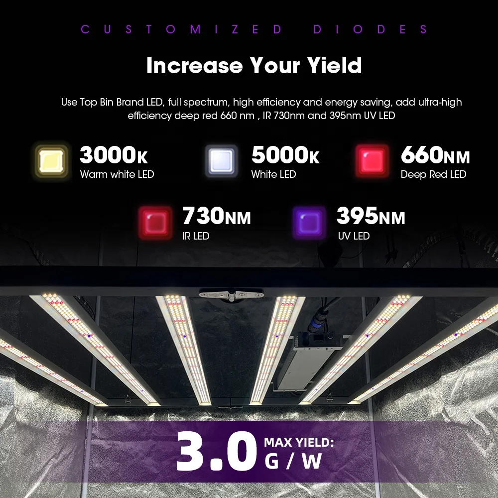 Shenzhen Commercial Green House Dimmable Veg Flower 1000 Watt Led Grow Light For Vertic Plant Grow For Veg Flower