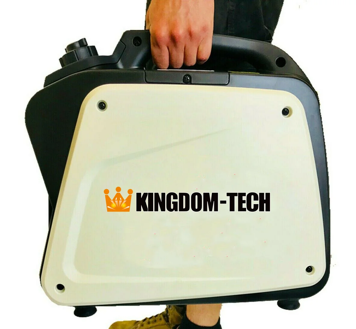 
Custom Color 950W 12V 240V 4 Stroke Portable Digital Inverter Generator For Sale 