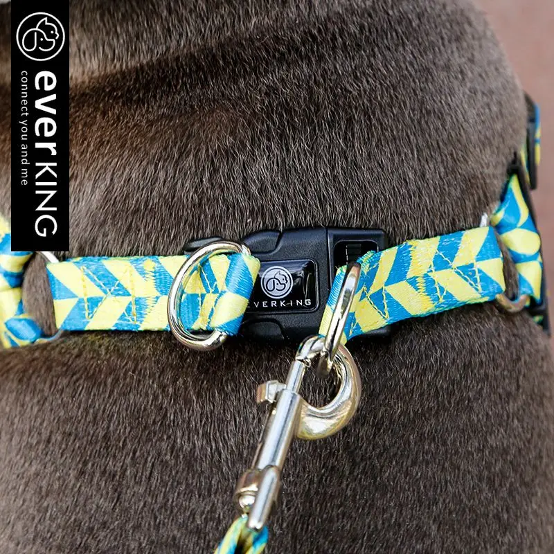 Pet Leash, dog leash, medium-sized large dog leash dog collar