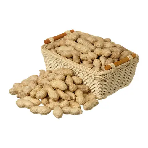 Chinese peanuts manufacturers in shell prices