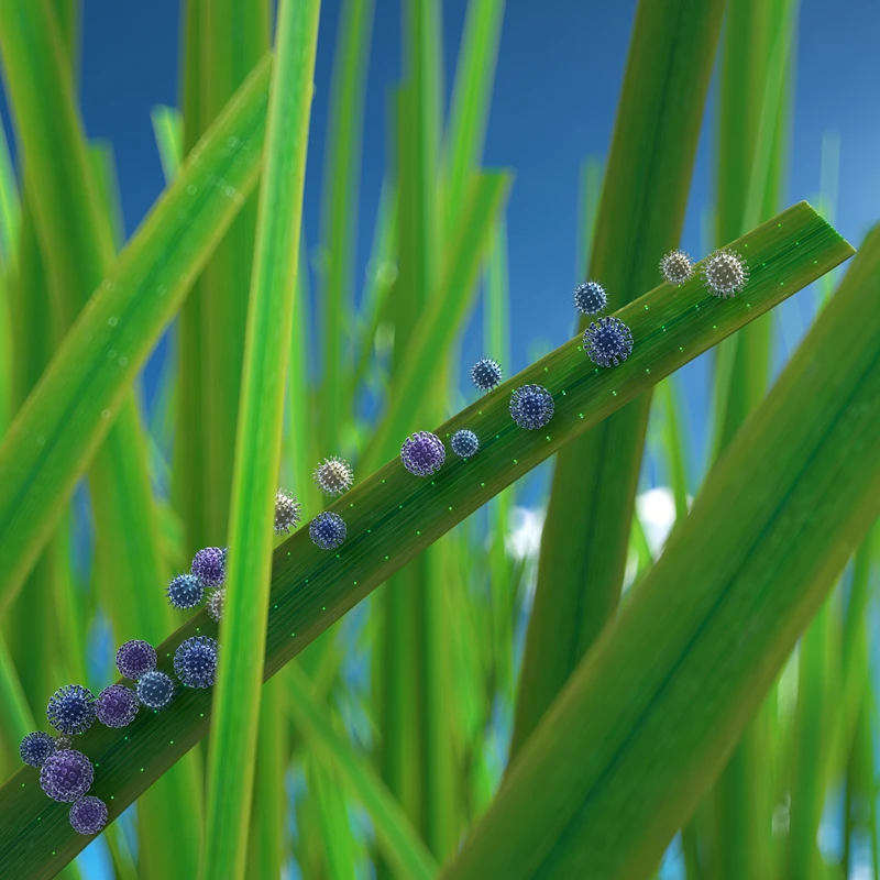 Landscape Lawn Carpet 25 30 35 40 mm Synthetic Turf 20mm 25mm 30mm 35mm 40mm 45mm Garden Artificial Grass Mat for Landscaping