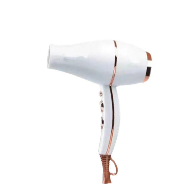 2023 New Design Negative Ion Hair Dryer for Sale Professional Hair Dryers China Suppliers Salon Hair Equipment
