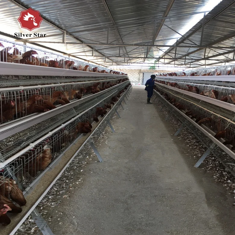 3 or 4 layers a type automatic poultry feeder battery chicken cage.jpg