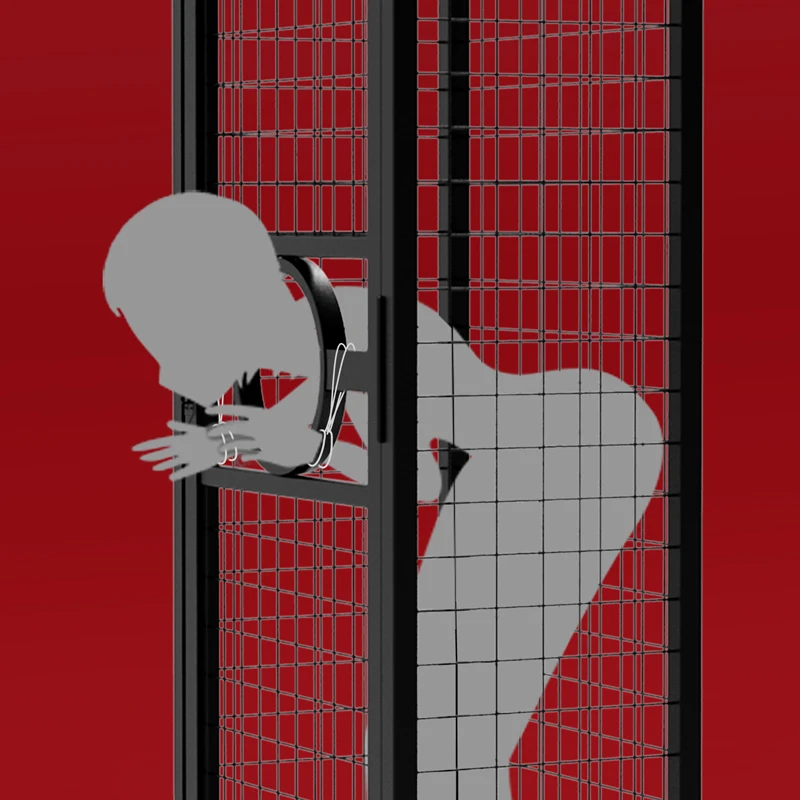 Custom Label Bondage Slave Bdsm Cage Sex Punishment Toys Large Cage Bondage Bdsm Sex Dungeon Steel Sm Cage Bdsm Furniture