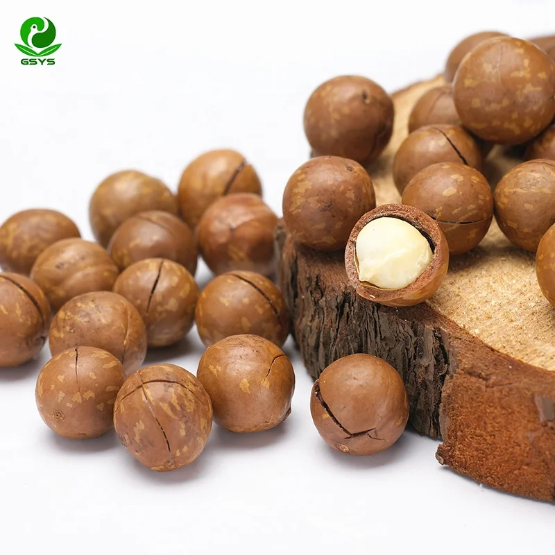 Оптовая продажа дешевая цена орехи макадамия размер раковины 25 мм +