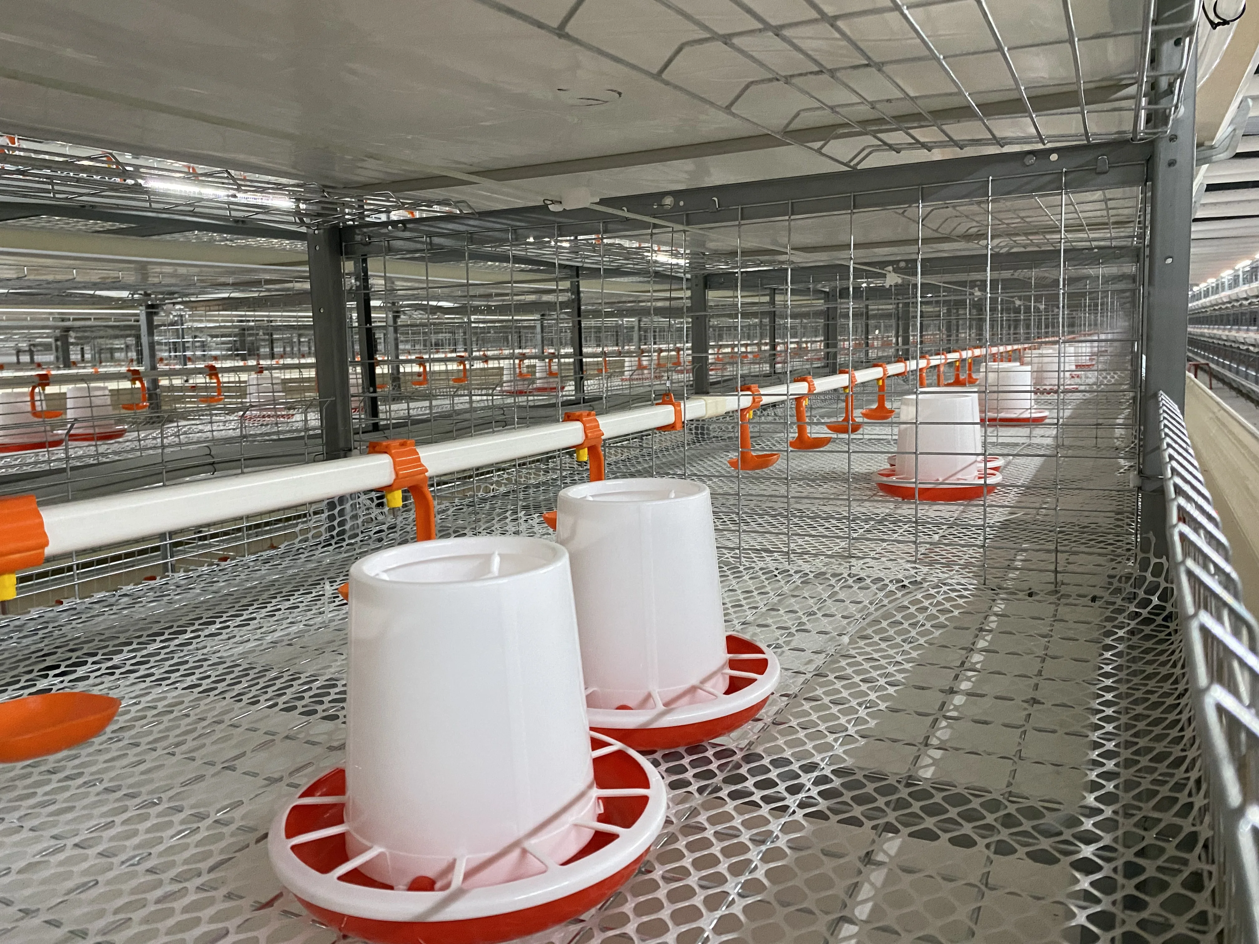 Poultry Farming Automatic Breeding Rearing Battery Chicken Cage for Broiler