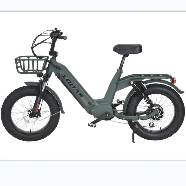 20inch fat tire  electric bicycle outdoor off-road 48V 500w system electric bike with competitive price great price