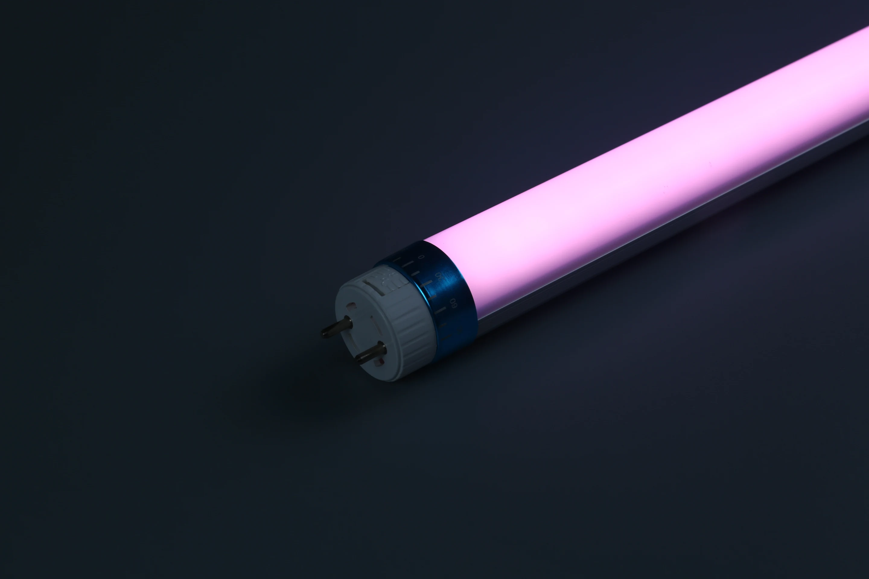 Wiscoon LED Tube T8 Pink Tube 80 Light 24v Led Neon Flexible Tube for Meat Plant Shop Aluminum 5 Years SMD2835 4 Ft Led Light