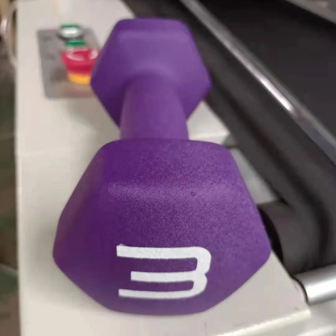 Best Selling Weightlifting Custom Logo Dumbbells Color PVC Coated Dumbbell 0.5KG 1-10KG