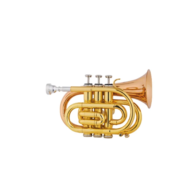Brass Instruments Pocket Trumpet Lacquer Entry Hand Trumpet,Gold Lacquer