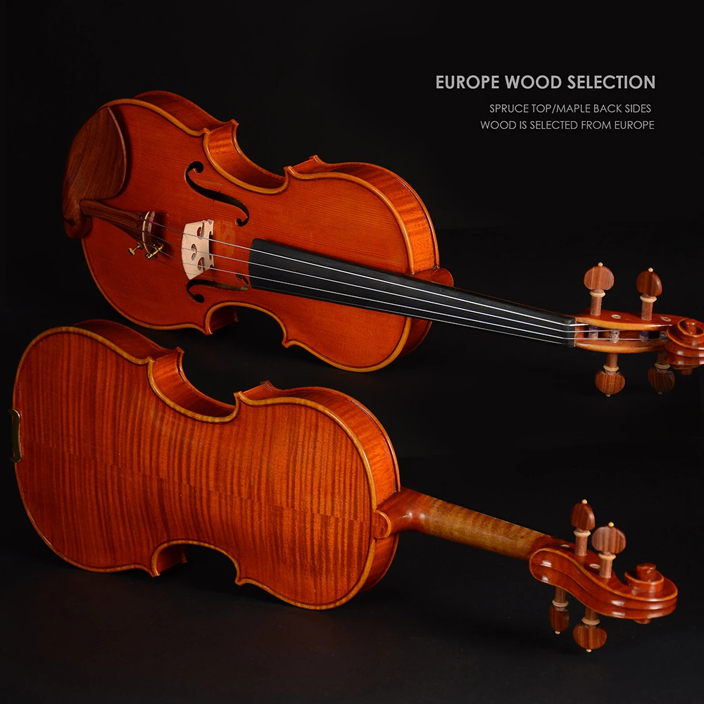CHRISTINA S100A Famous Brand Violin with Spruce Face and Brazil Wood Bow Performance Level with Free Case & Strings