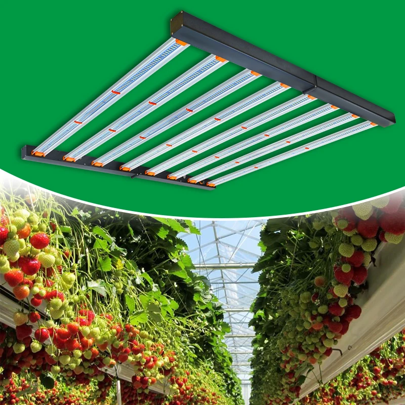 Factory Wholesale IP65 Foldable LED Grow Light 650W 800W Samsung LM301B LM301H LED for Plant Veg Bloom Growing