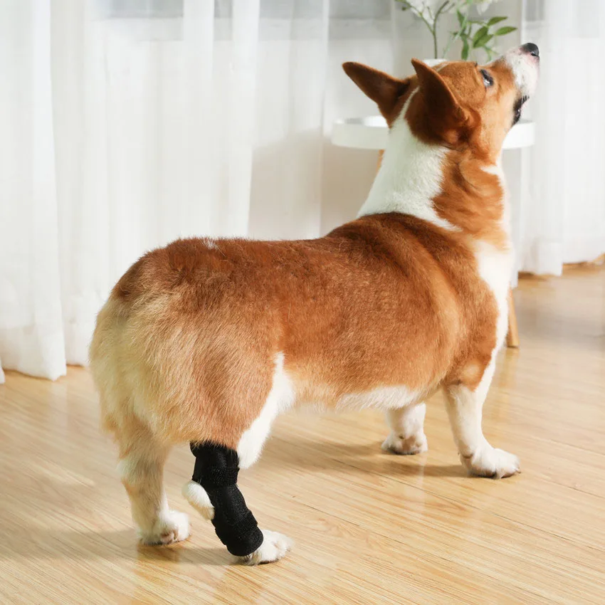 Hot Selling Recovery Protector Dog Leg Sleeve Dog Knee Brace Neoprene Dog Leg Brace for Hind Legs