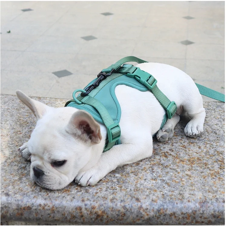 Custom Waterproof PVC Dog Harness Set Pet Poop Bag Holder Dispenser Dog Collar And Leash Four Pieces Set