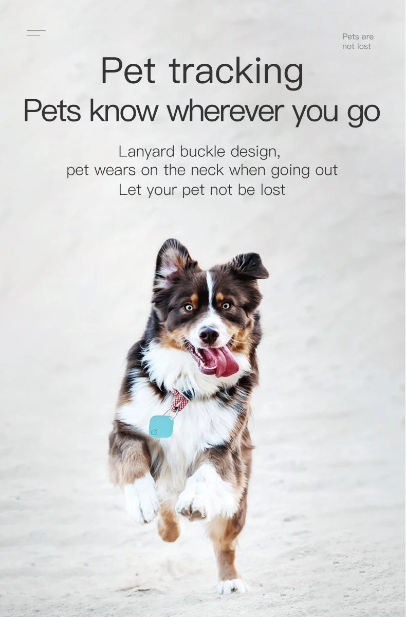 Cheapest Waterproof Dog Cat Location Tracking New Mini Pet Tracker Gps Locator 4G