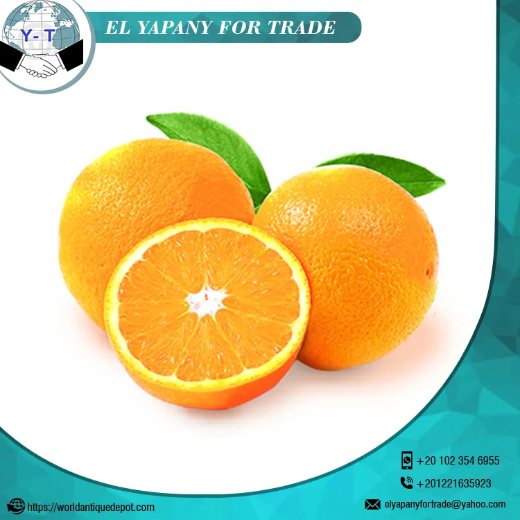 
Fresh Citrus Orange Fruit 