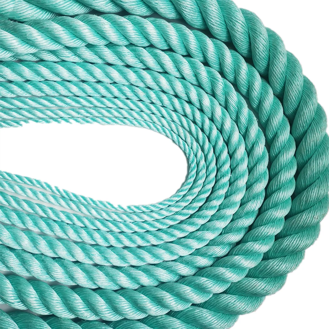 Factory Wholesale 3 Strand PP Dan Twisted Rope for Fisheries and Fishing Packaging Ropes