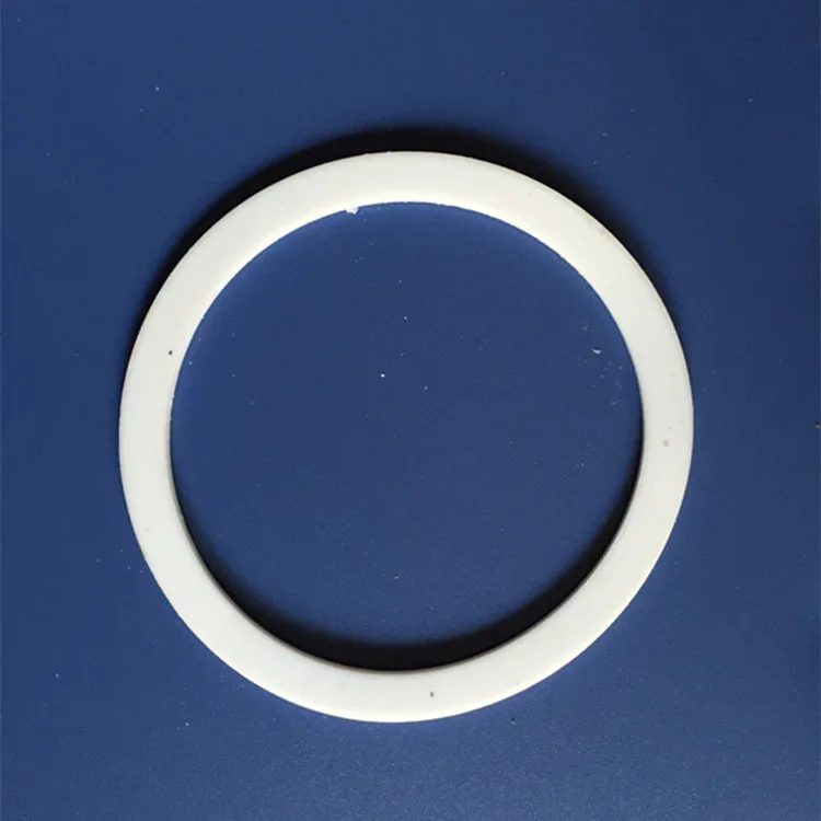 High Quality hard-wearing Plastic Gaskets/PTFE Gasket/POM Gasket