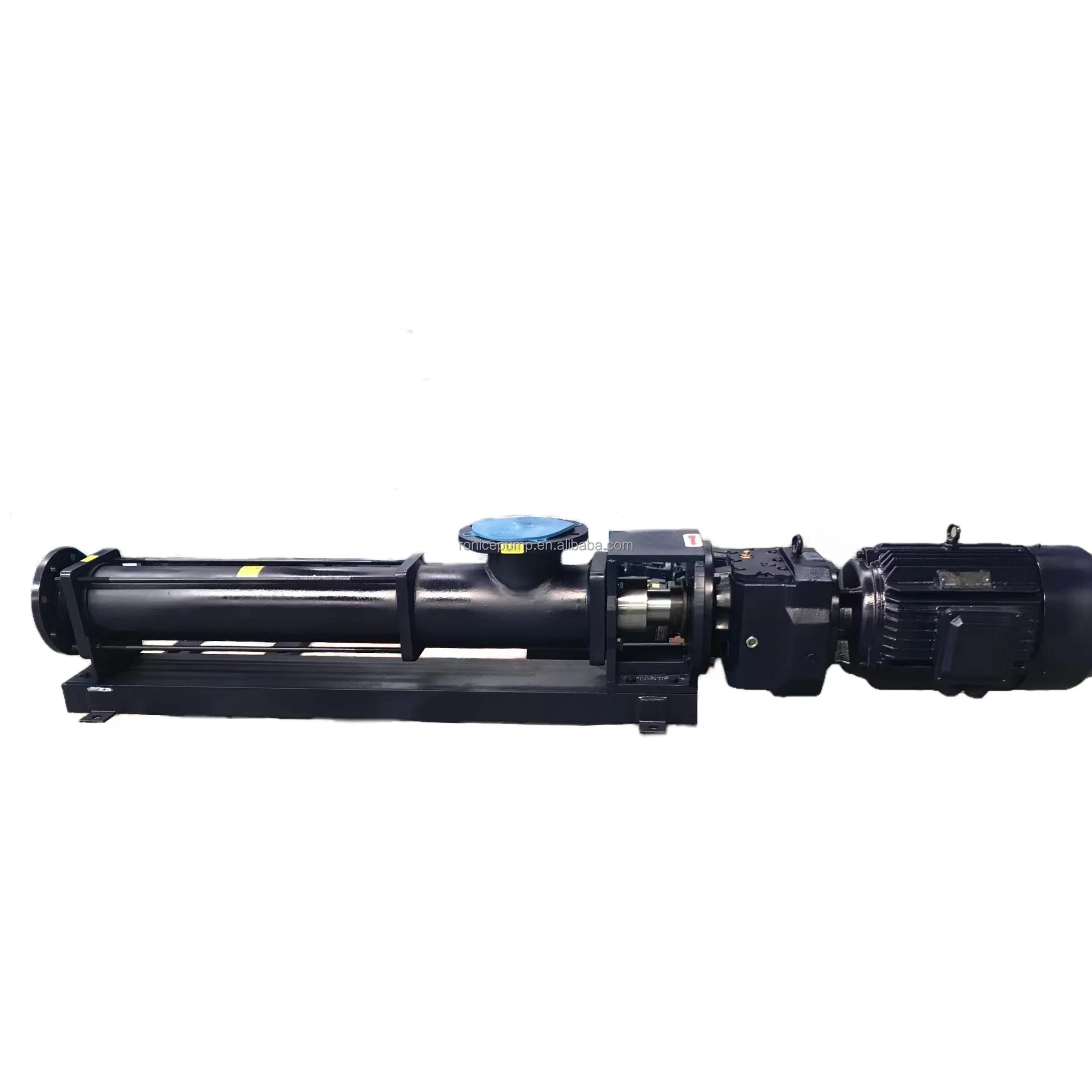 RoNice  Direct connection progressing cavity pump as Seepex BN10-12