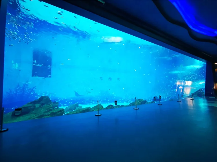 Large Acrylic Fish Tank / Large Acrylic Glass Aquariums