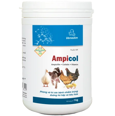 Вьетнам GMP Сертифицированный для профилактики заболеваний птицы, порошок ампикола