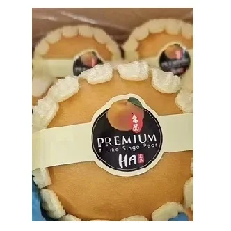 korea fresh singo pear for 24-30