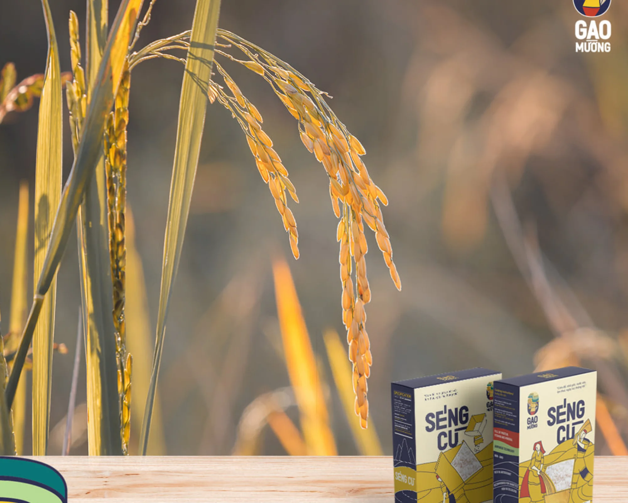 Organic rice, meeting all export standards, hot products in the market